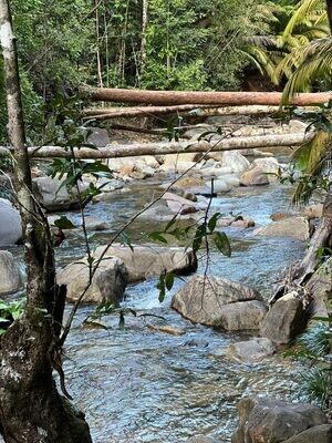 Gunung Chemendong Day Trek (Difficulty - Medium)