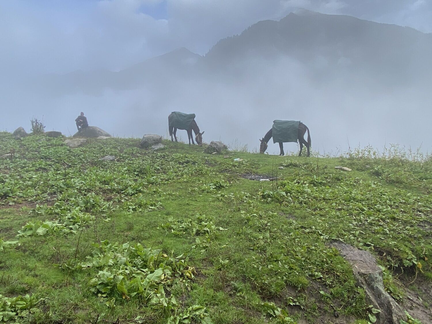 Har Ki Dun Expedition Trek