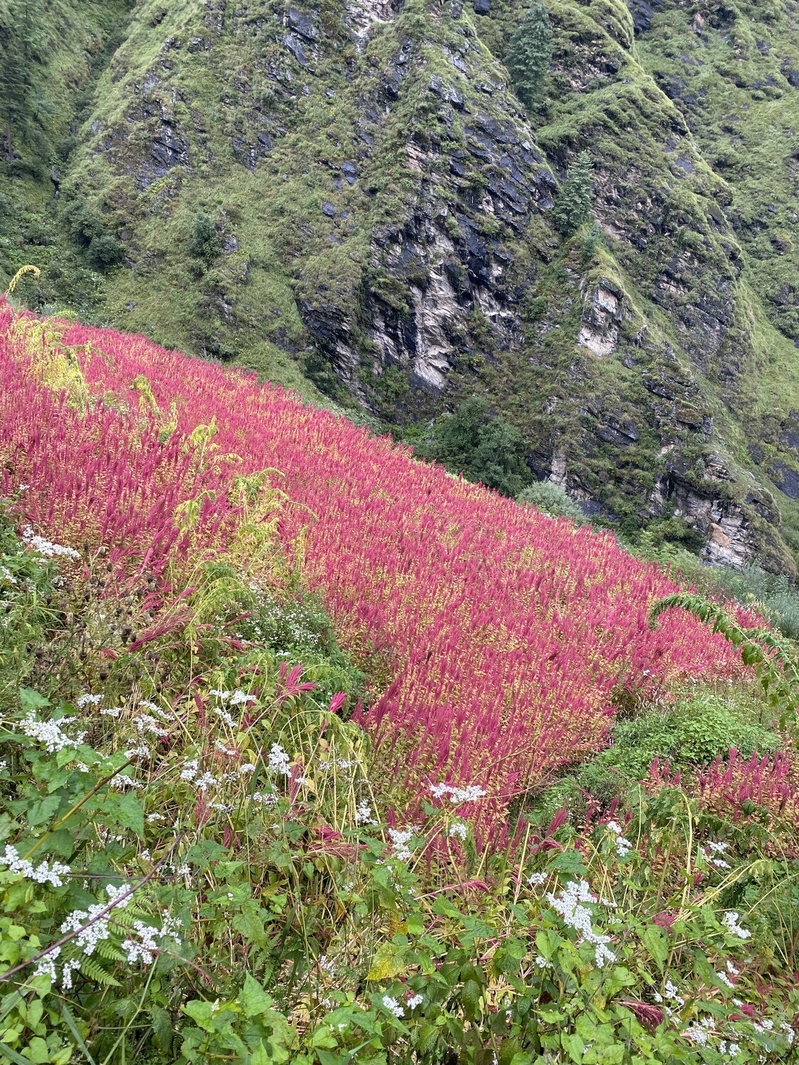 Har Ki Dun Expedition Trek