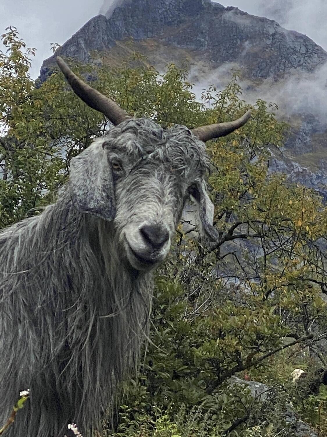 Har Ki Dun Expedition Trek