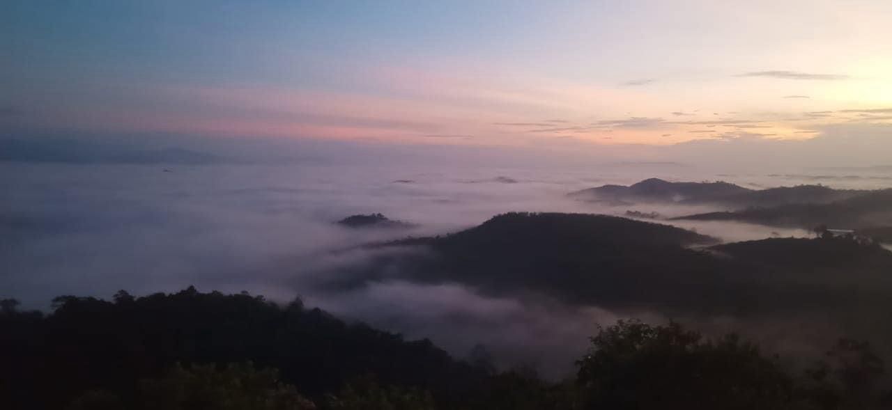 Bukit Senaling Day Trek