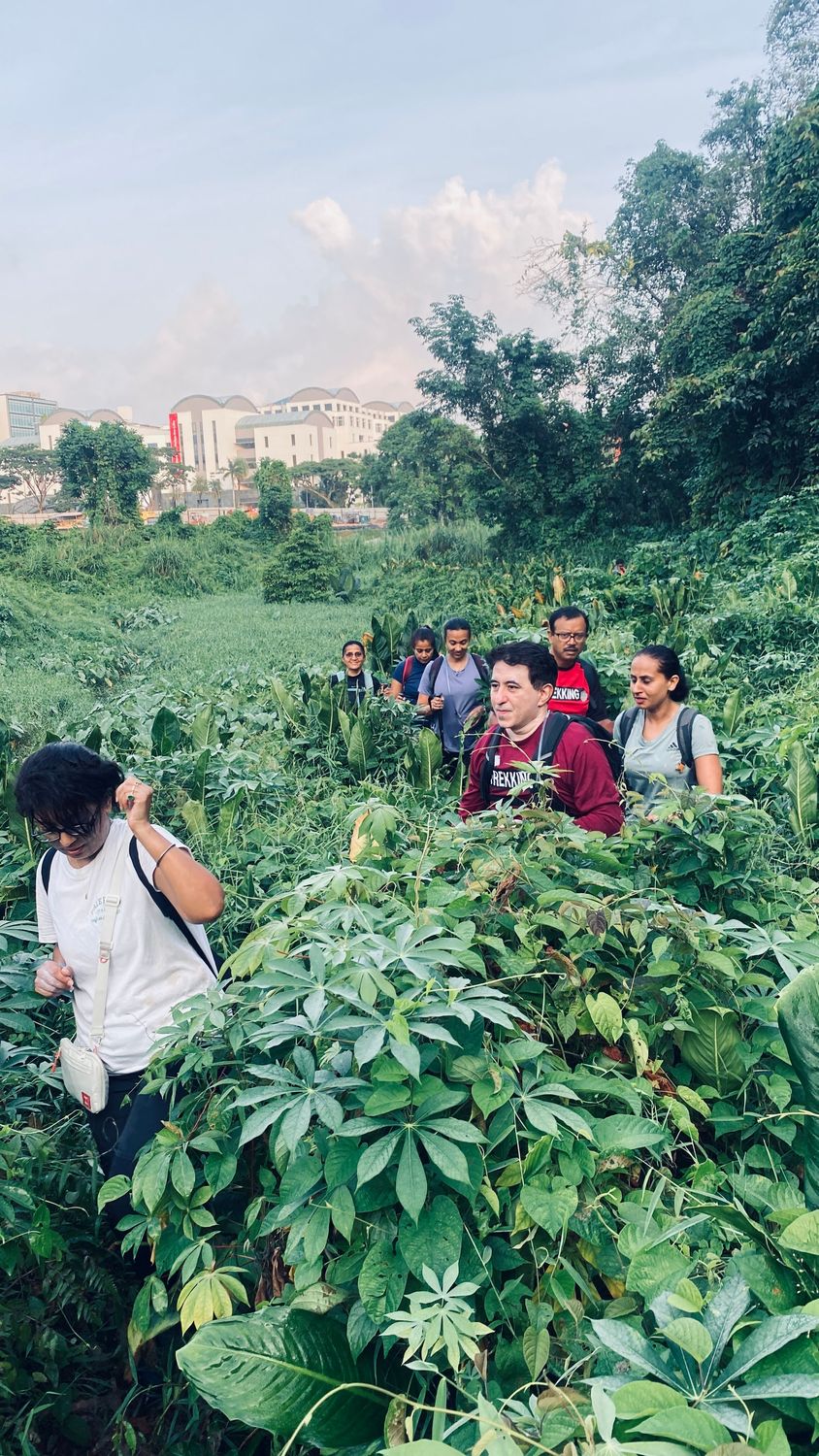 Summit With Smile - Towards Trekking grade fitness