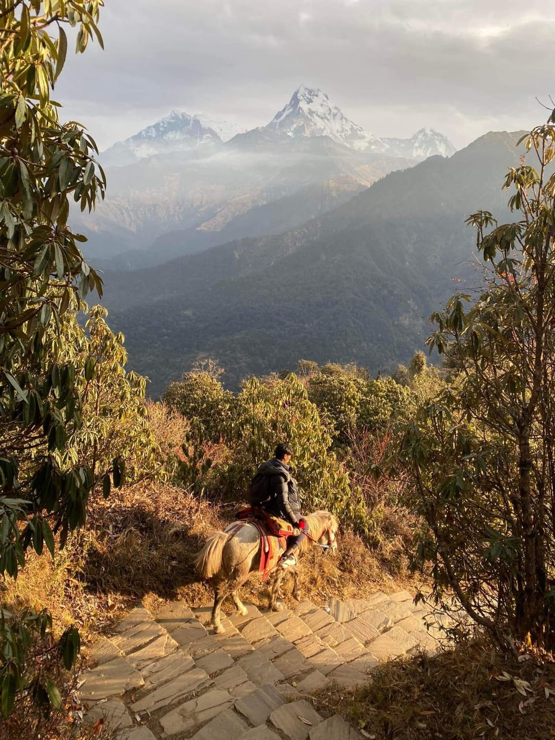 Annapurna Base Camp with Poon Hill | Most scenic trek