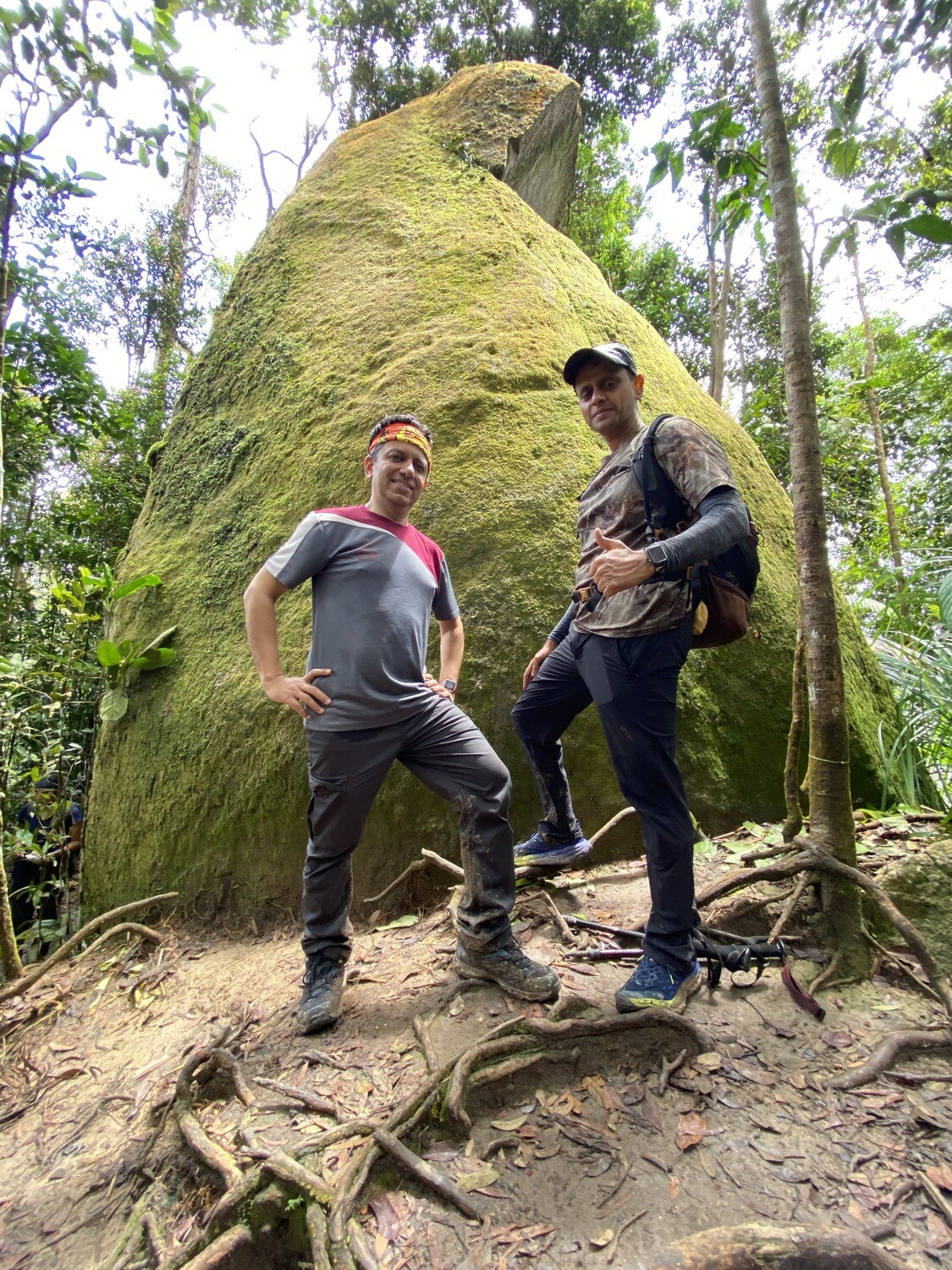 Pulai Jungle Trail &amp; Waterfall Fun