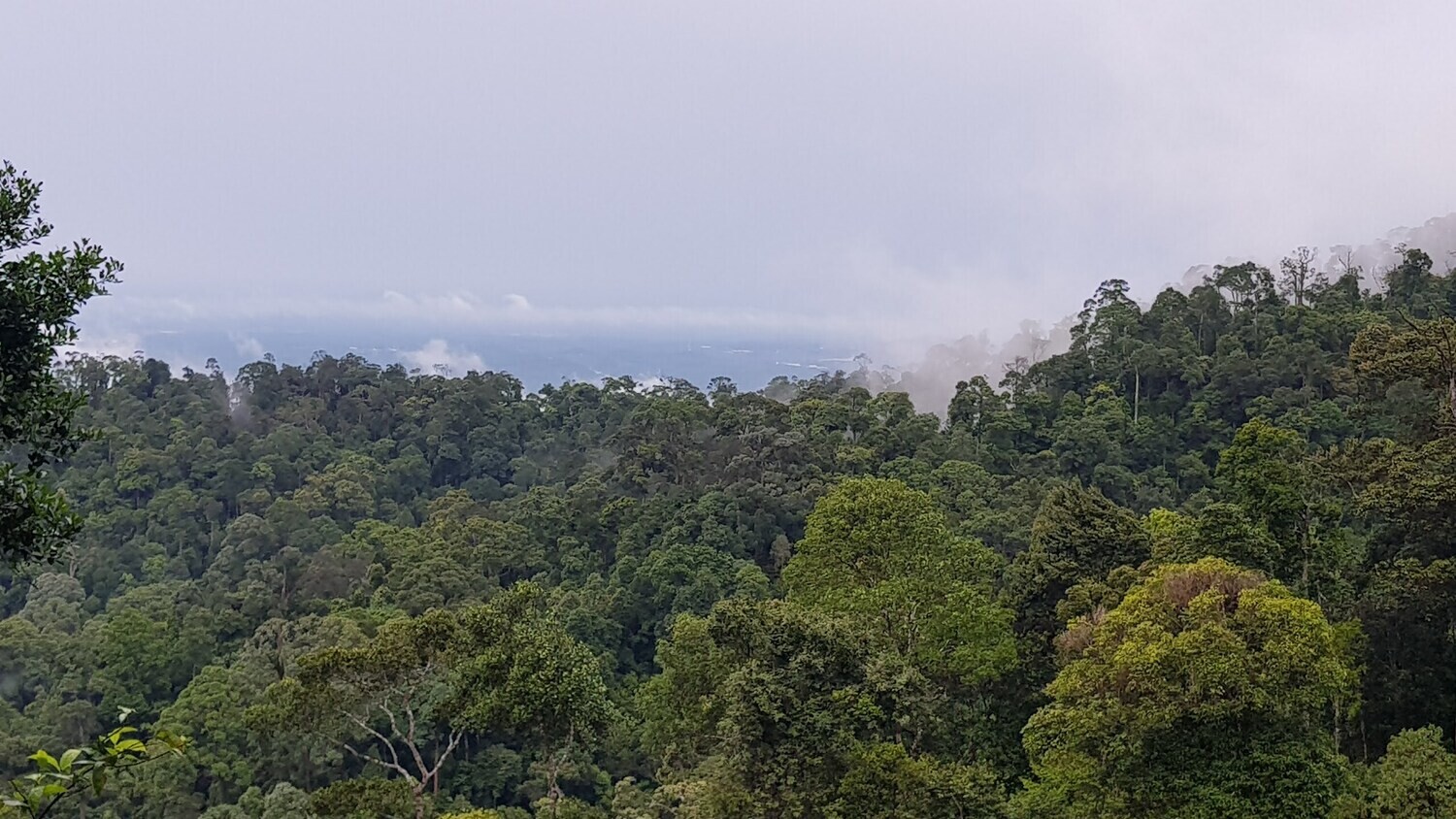 Pulai Jungle Trail &amp; Waterfall Fun