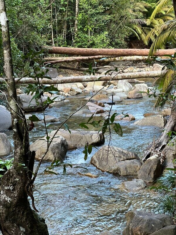 Chemendong Day Trek