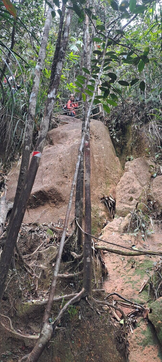 Gunung Belumut Day Trek