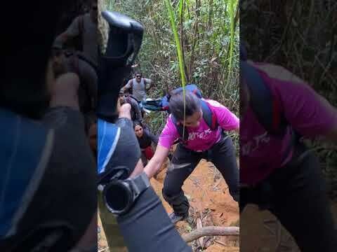 Gunung Belumut Day Trek