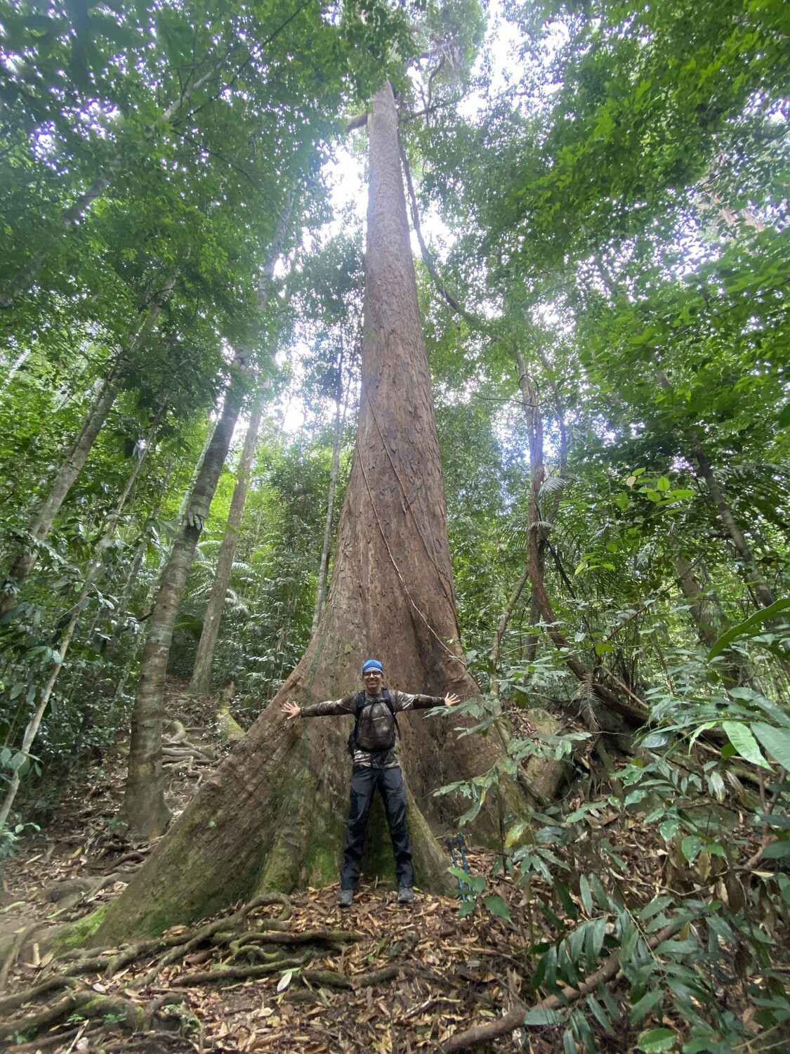 Gunung Belumut Day Trek