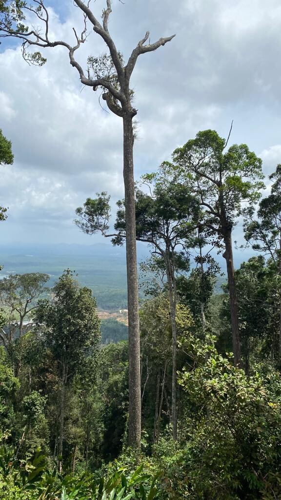 Muntahak Waterfall Fun