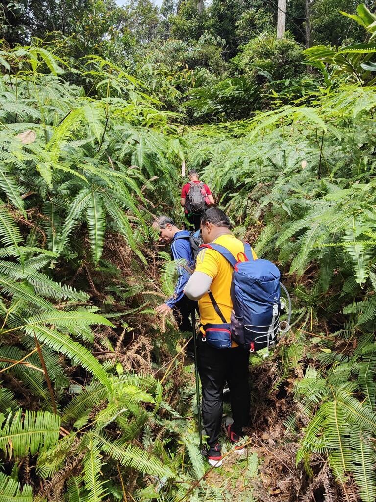 Muntahak Waterfall Fun