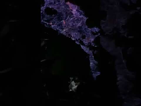 Mt. Bromo &amp; Ijen Volcano Adventure