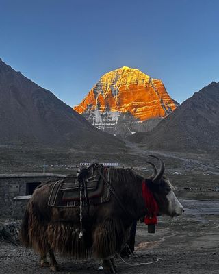 Kailash &amp; Manas Sarovar Yatra! Once in a lifetime!