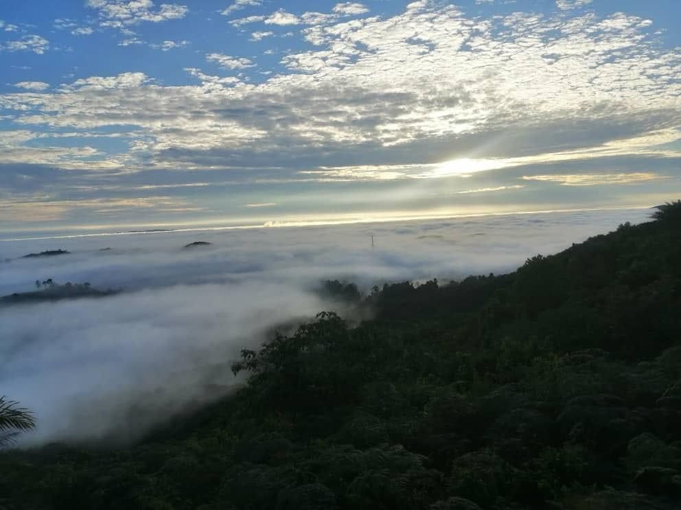 Bukit Senaling Day Trek