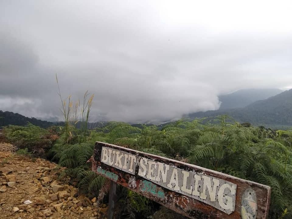 Bukit Senaling Day Trek