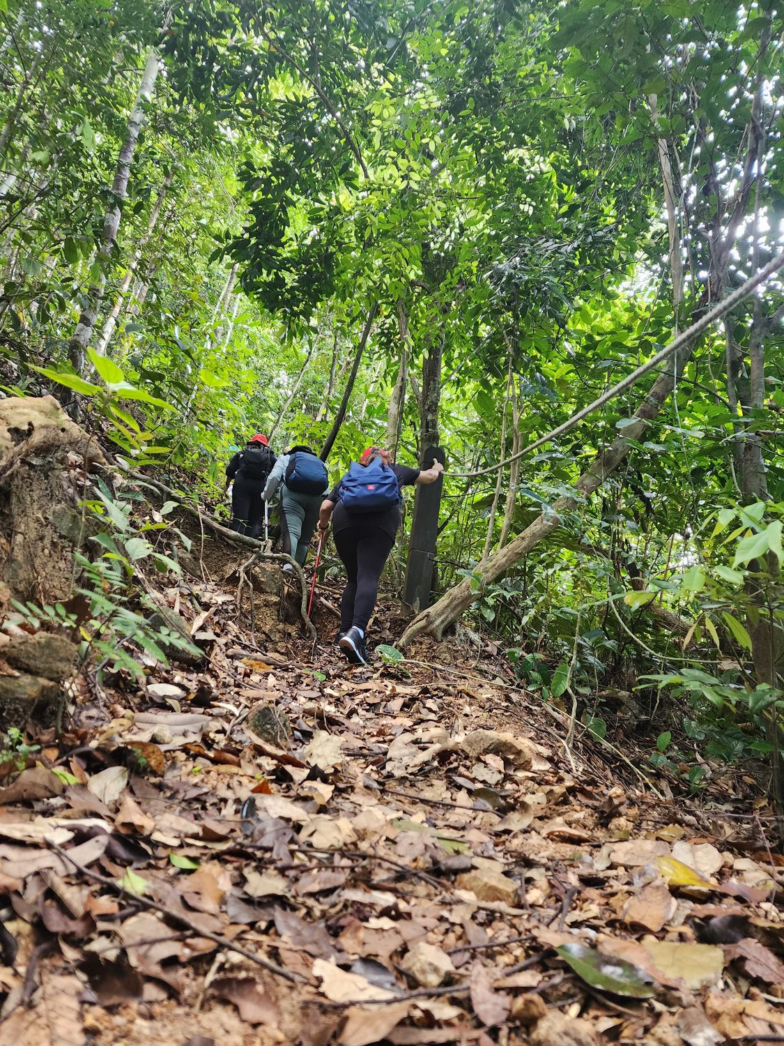 Arong : Beginners, trek debutants welcome!