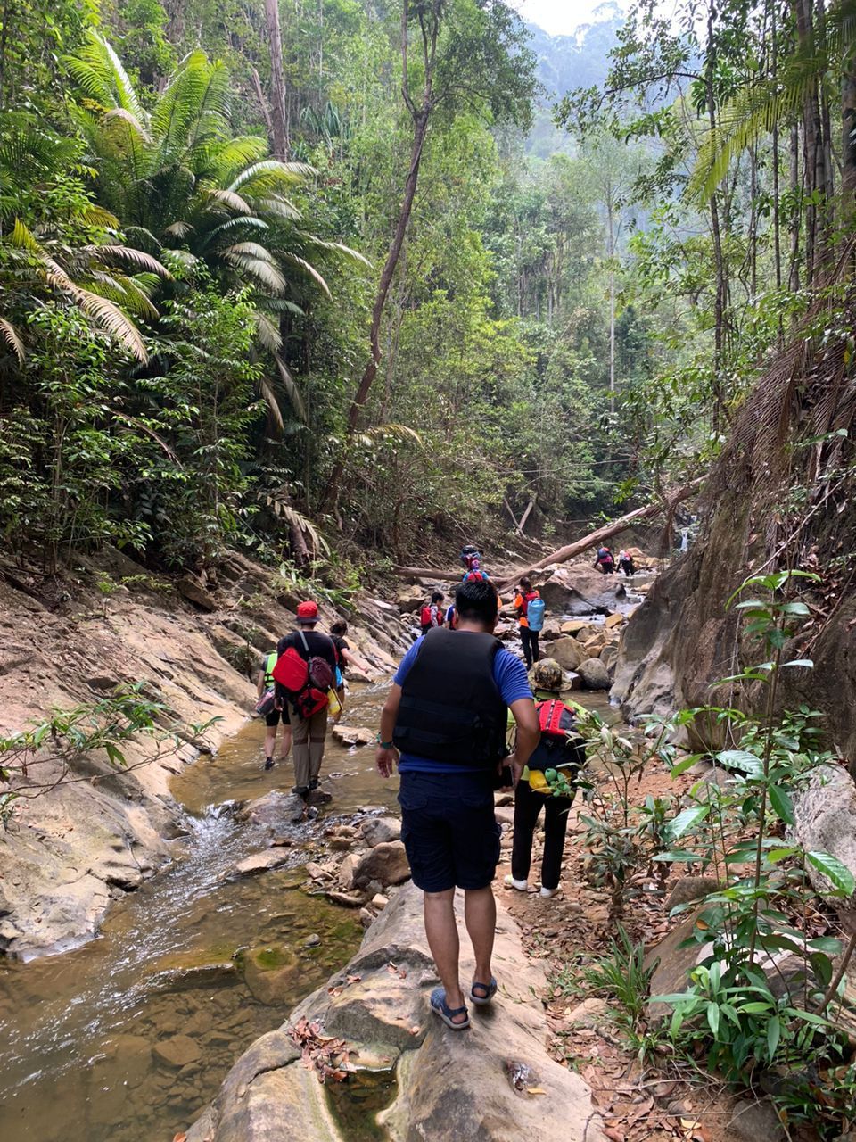 Sungai Yong Day Trek (Waterfall Fun)