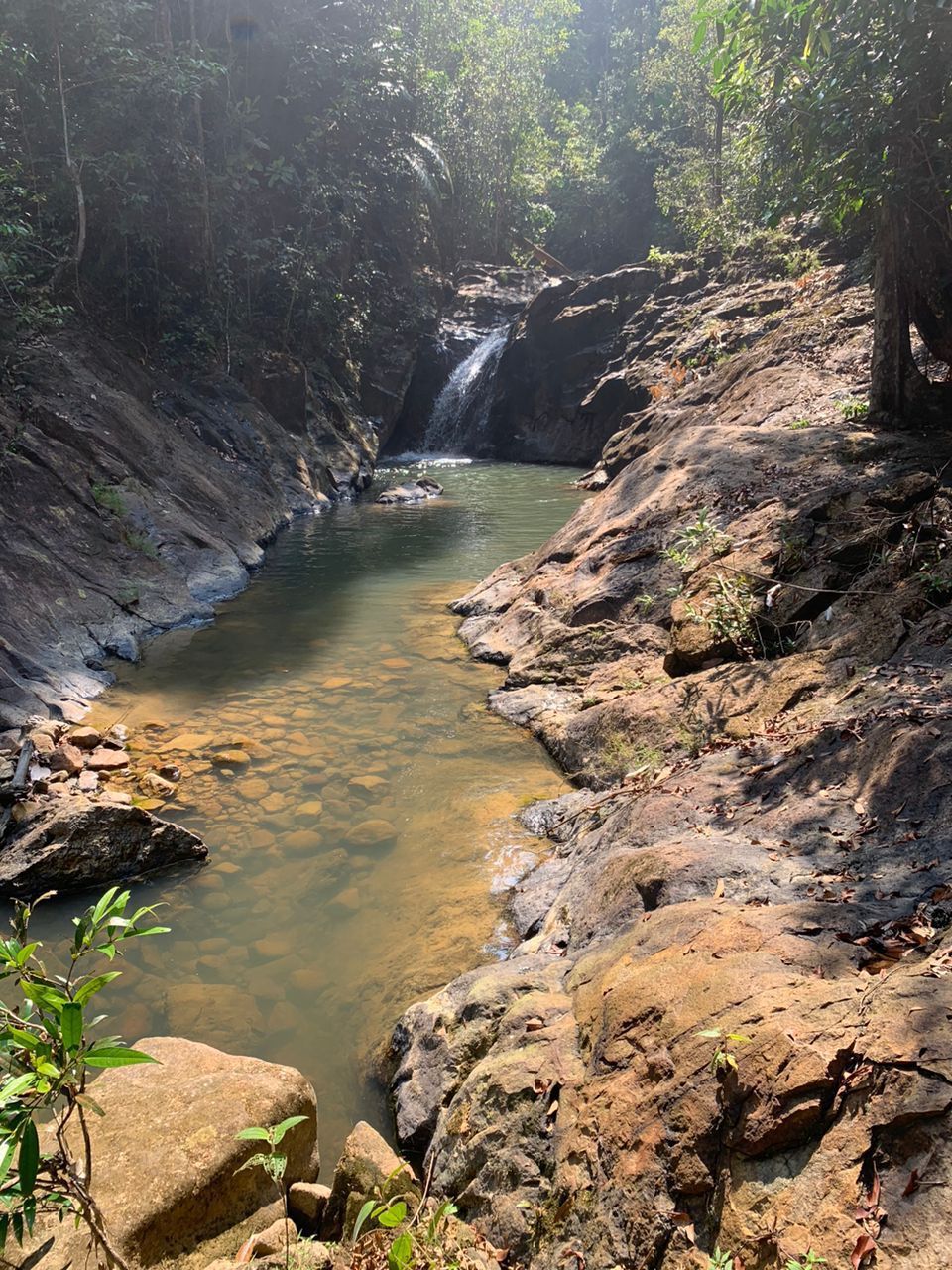 Sungai Yong Day Trek (Waterfall Fun)