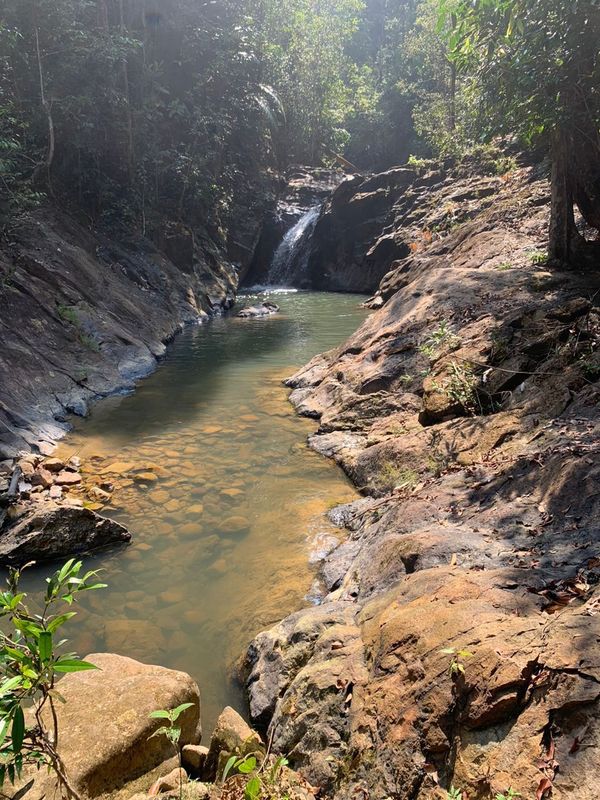 Sungai Yong Day Trek (Waterfall Fun)