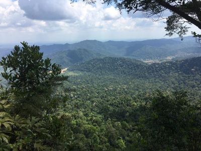 Mt. Panti - Beginner Friendly Day Trek