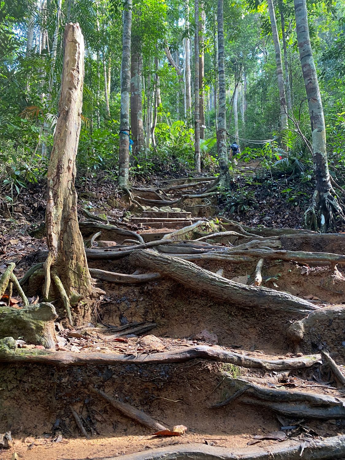 Lambak twin summit Trek