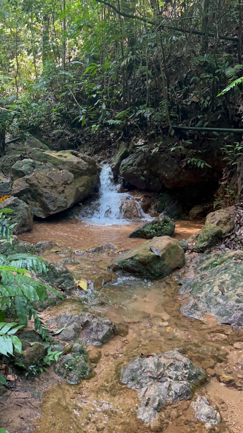 Lambak twin summit Trek
