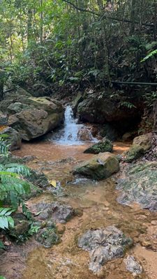 Lambak twin summit Trek (Difficulty 4/10)