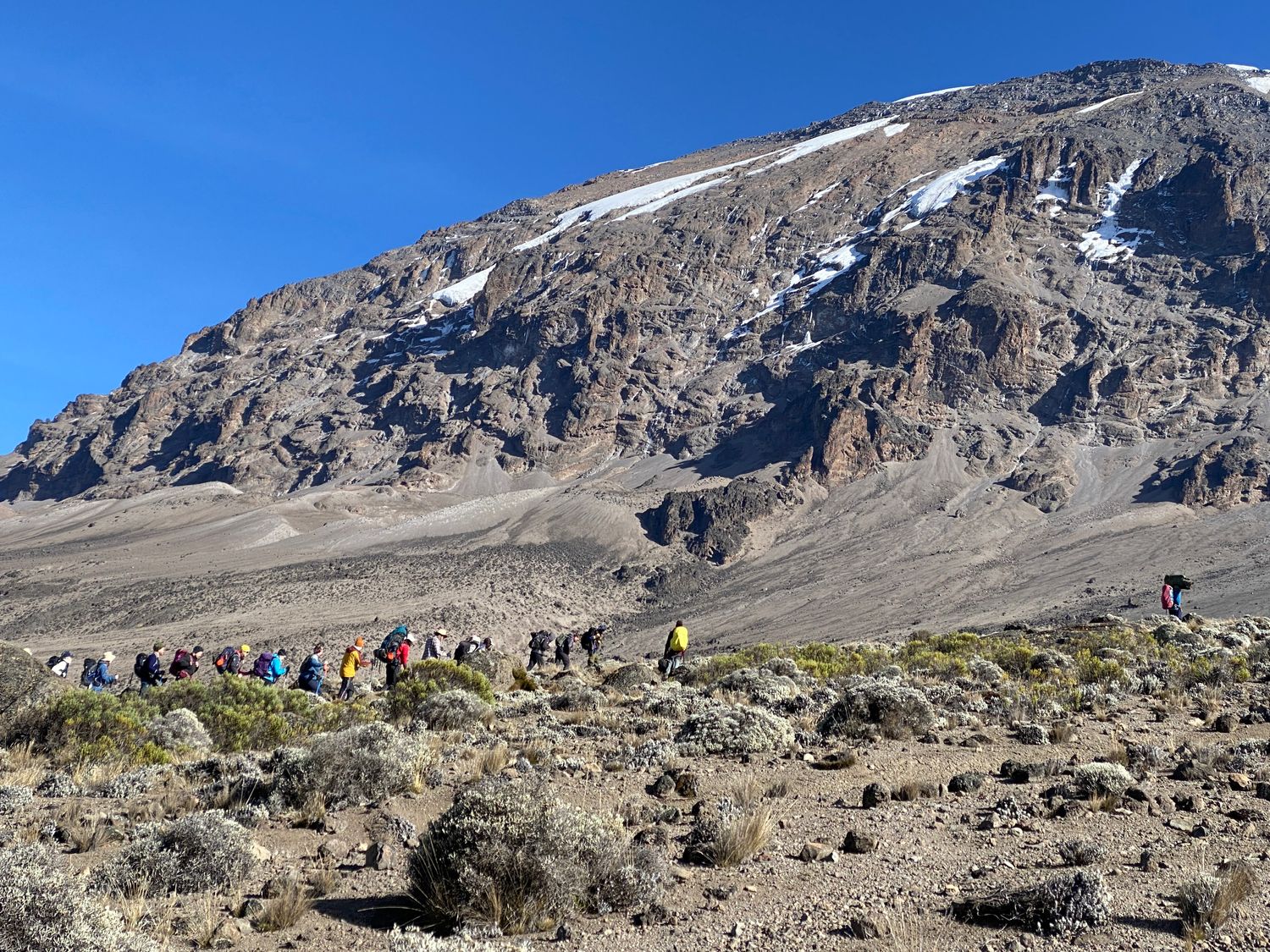 Kilimanjaro - Machame 7  Highest Chance to Summit