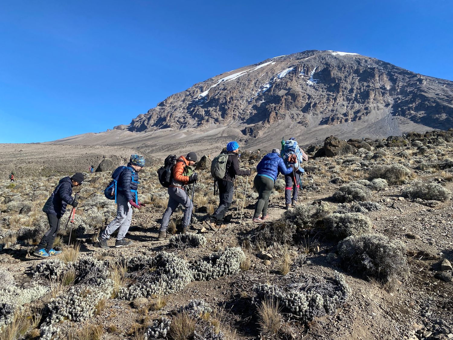 Kilimanjaro - Machame 7  Highest Chance to Summit