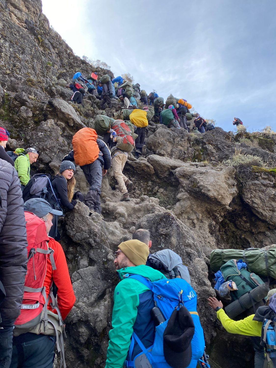 Kilimanjaro - Machame 7  Highest Chance to Summit