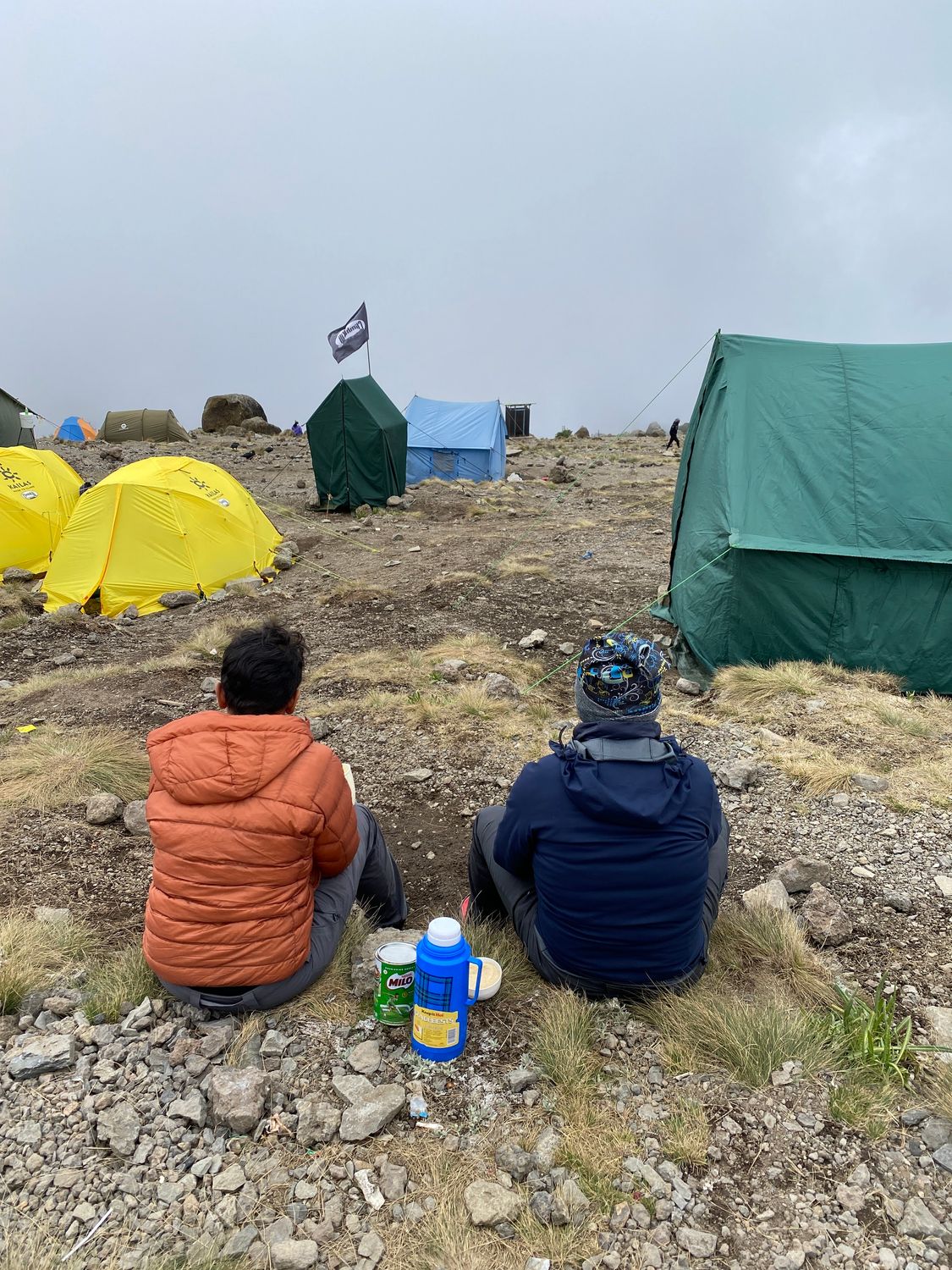 Kilimanjaro - Machame 7  Highest Chance to Summit