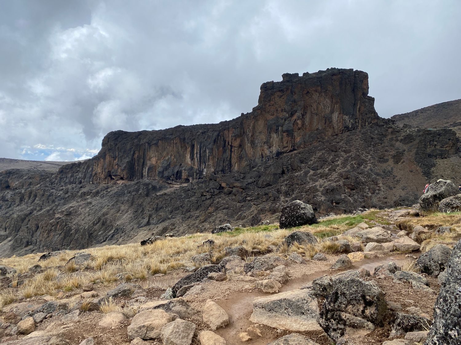 Kilimanjaro - Machame 7  Highest Chance to Summit