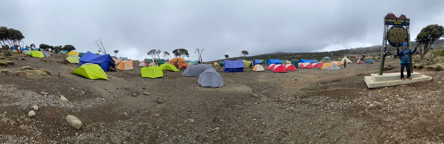 Kilimanjaro - Machame 7  Highest Chance to Summit