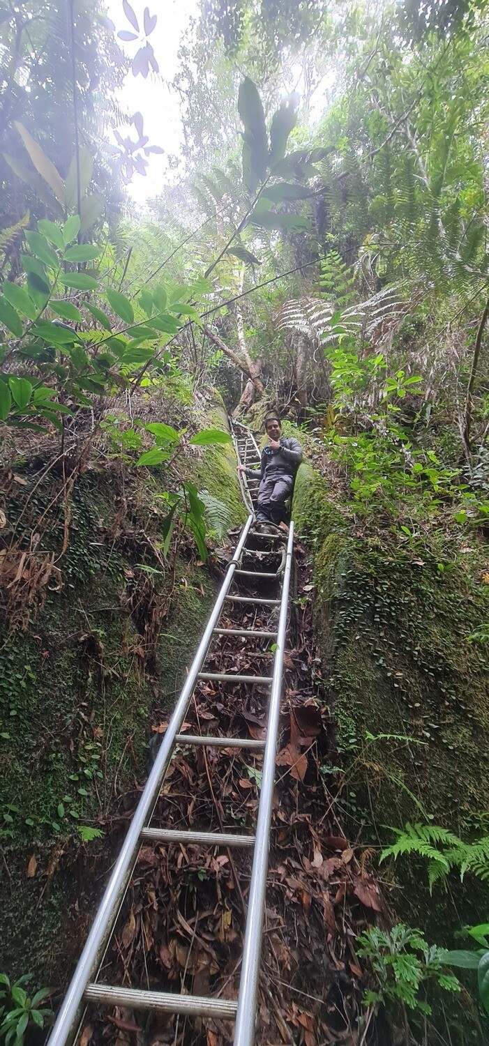 Ophir - Best Chance to Summit