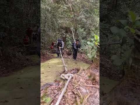 Ophir - Best Chance to Summit