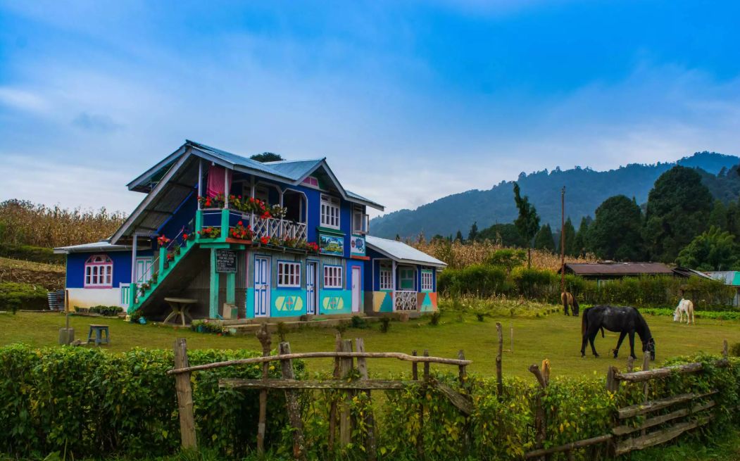 Sandakphu-Phalut Trek