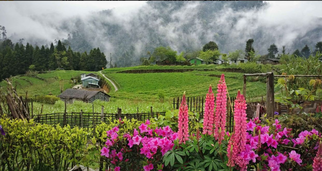Sandakphu-Phalut Trek
