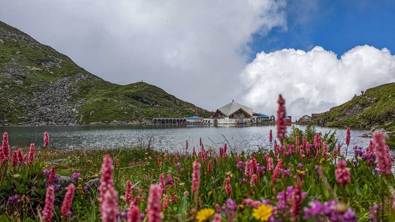 Valley of Flowers