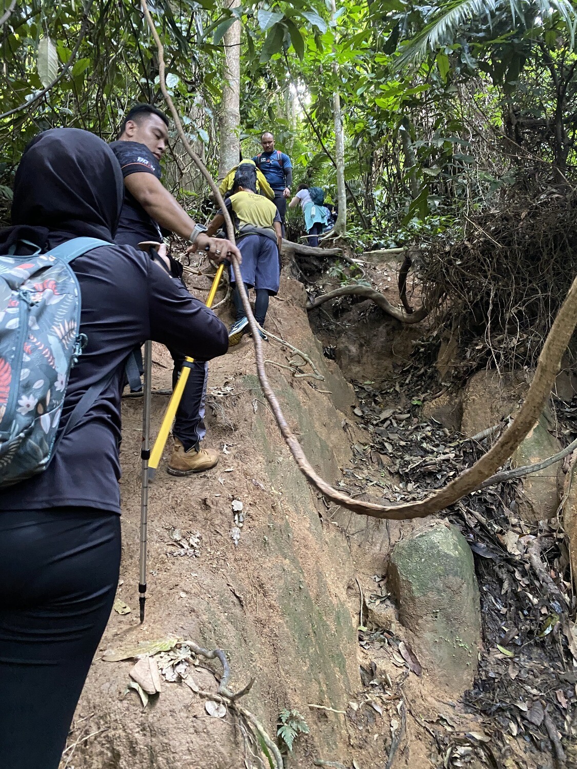Mt. Datuk Day Trek