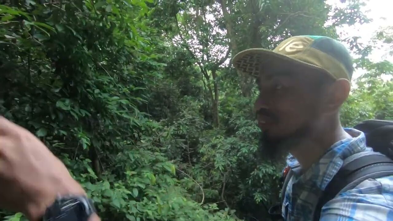 Mt. Datuk Day Trek