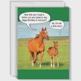Little Horse - Funny Birthday Card