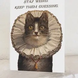 Stay Weird Kitty Card