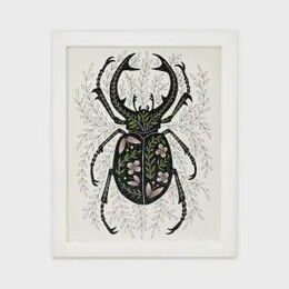 8" x 10" Stag Beetle Art Print