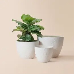 Tuileries Speckled White Pots 14.2 inch