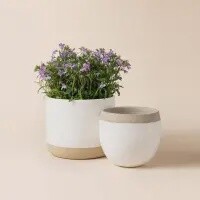 Monceau White Pots - 4.9 Inch