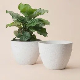 Tuileries Speckled Whites Pots - 11.4 Inch