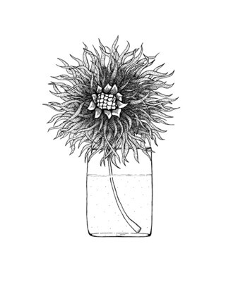 Flower in Vase 5x7