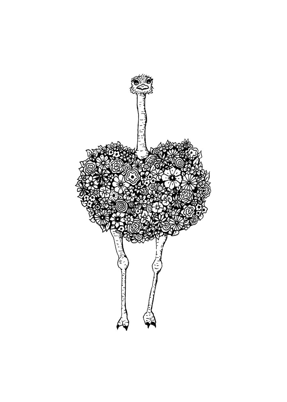 Ostrich