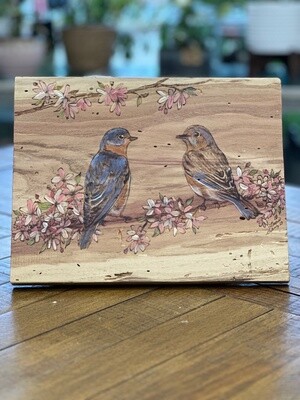 Pair of Bluebirds on Oak