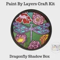 Dragonfly Shadow Box Kit